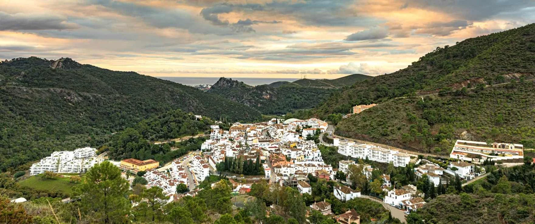 Fuente Lirios
